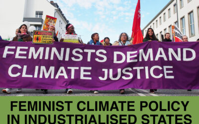 Constructing a Feminist Climate Emergency Response