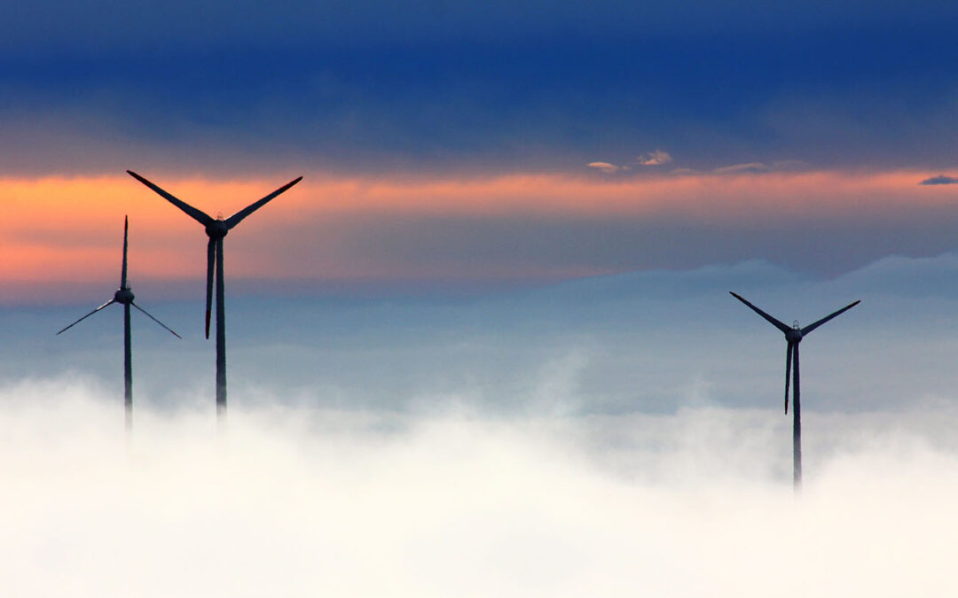 Though cowards flinch? No retreat on climate policy!
