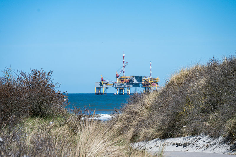 Drill baby drill or cry baby cry?  The energy sector and long-term job security